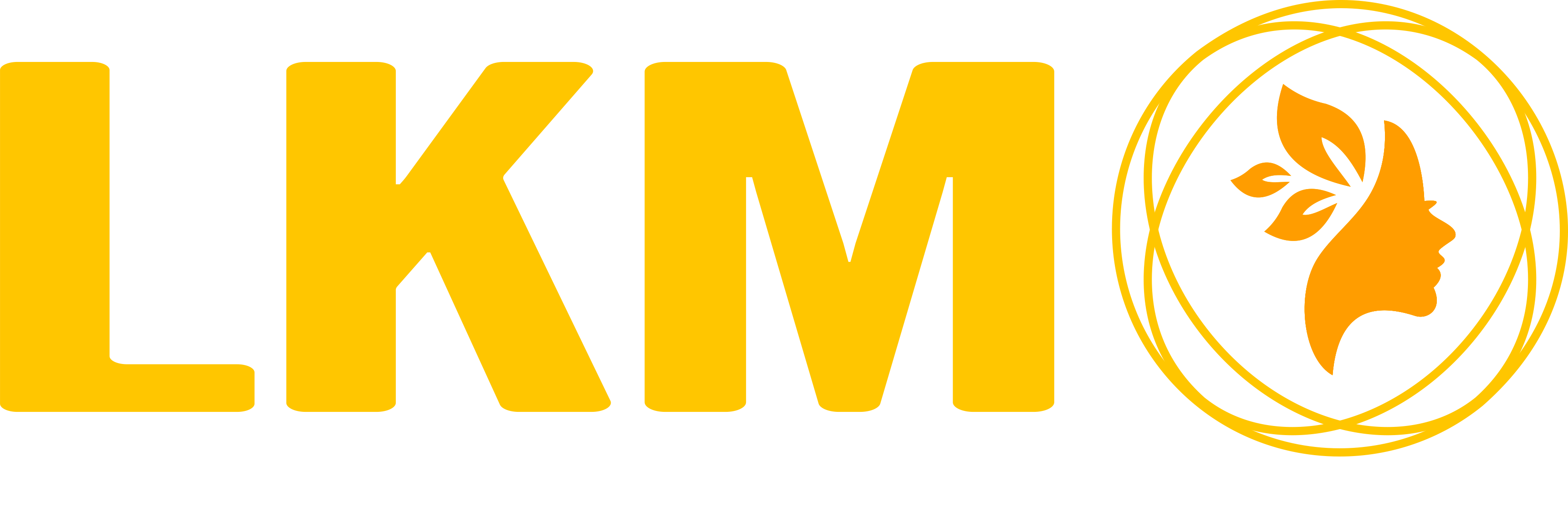 LKM Group SAS